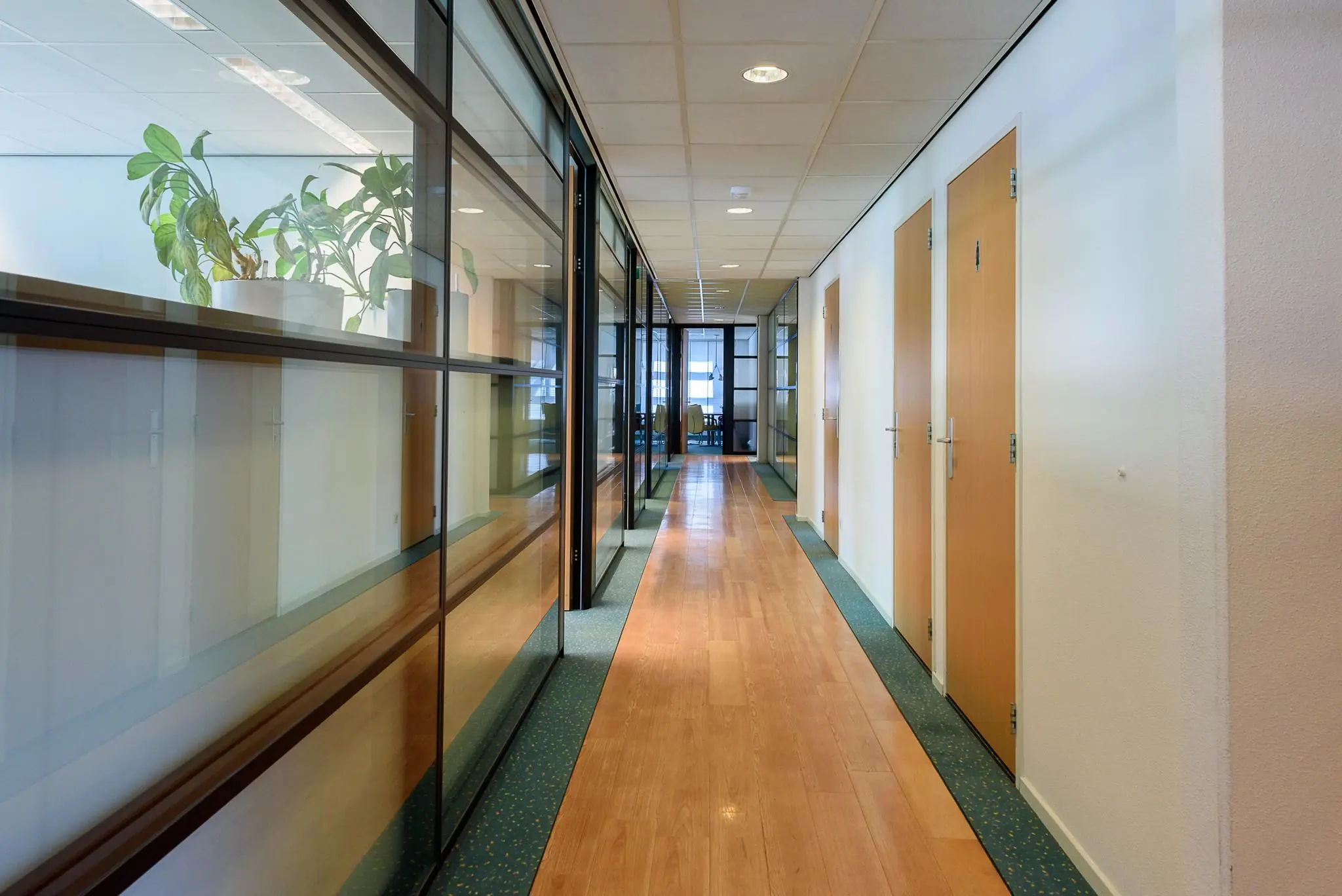 Gang in een modern kantoorpand aan de Rivium 2e Straat met glazen wanden en houten deuren.